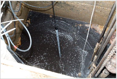FOGRod installed in well